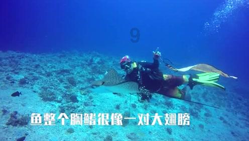 逗小猴开心系列188