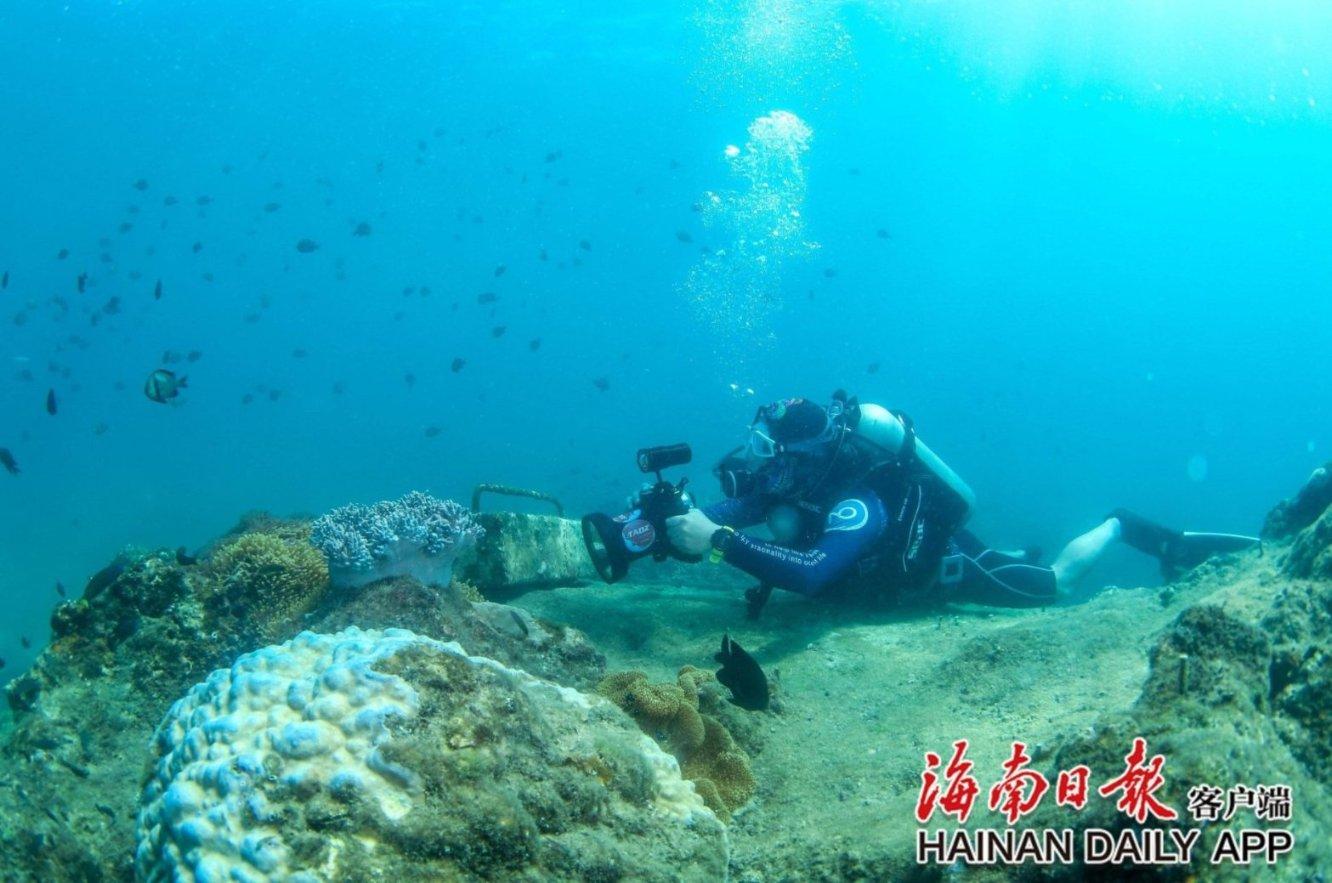 你目空一切玩的干脆是什么歌？
