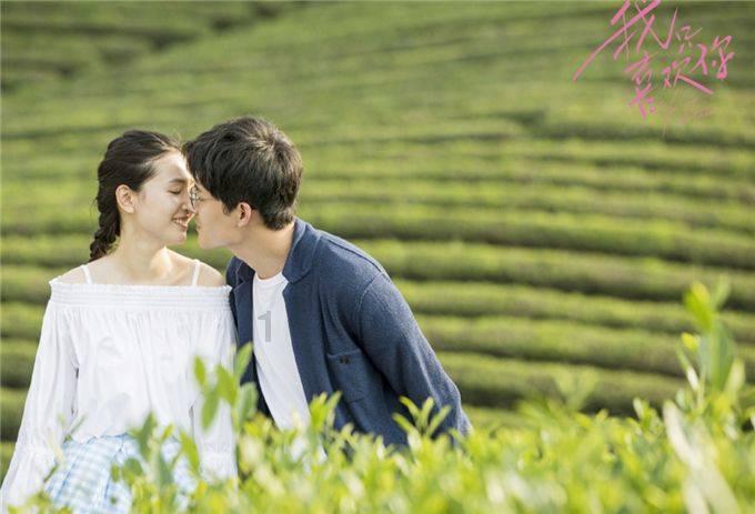 菏泽举办第四届“的士节”,百名出租车驾驶员获表彰